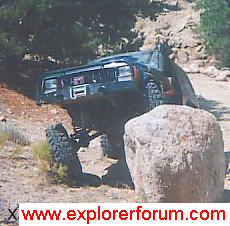 4516on_rock_matt.jpg