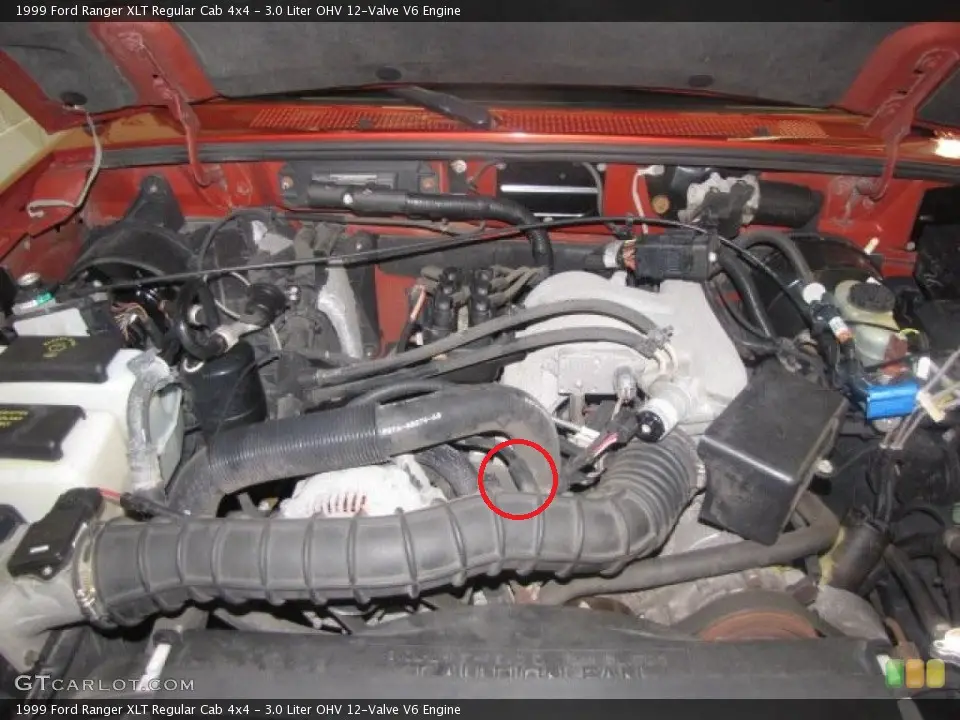 48145680.jpg