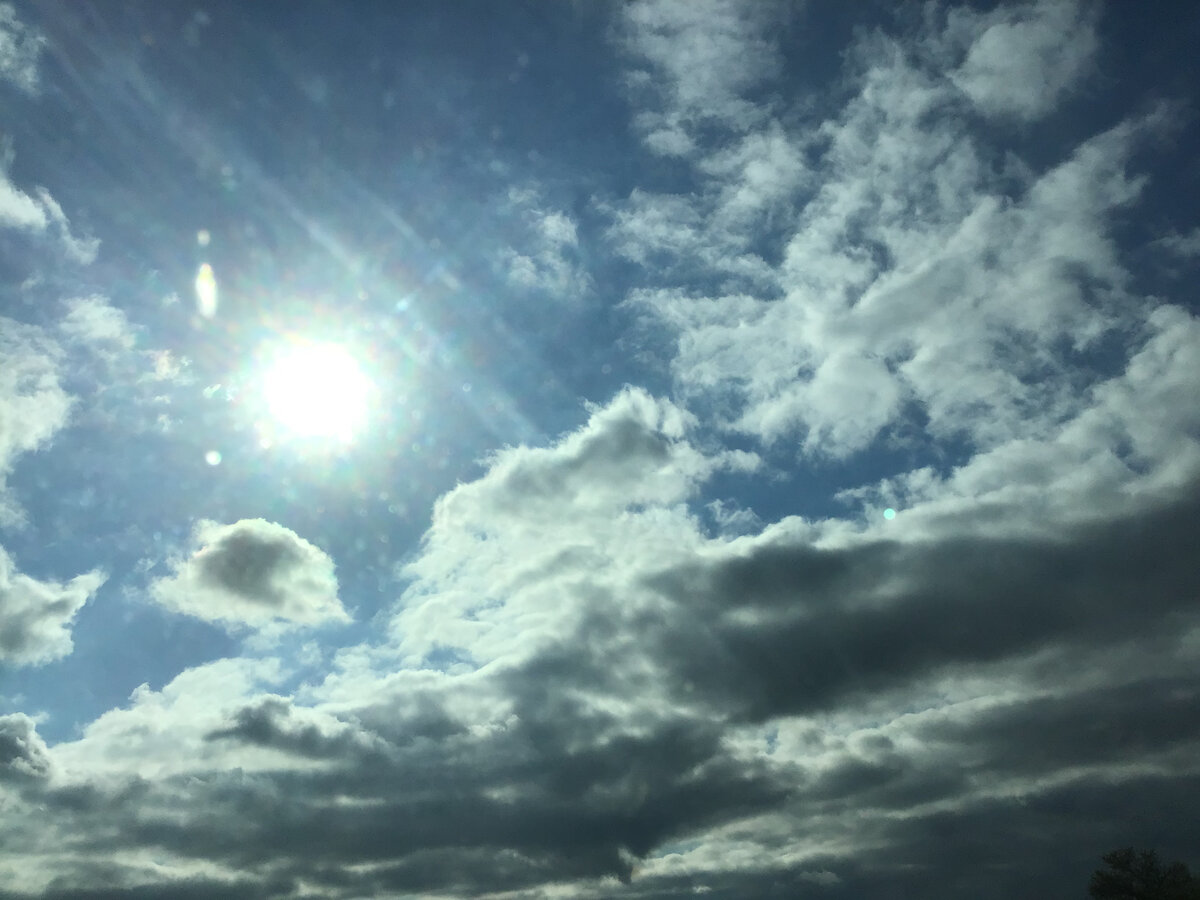 4CC976E9-632F-476C-A4B4-3E8BE9CDAEA8.jpeg