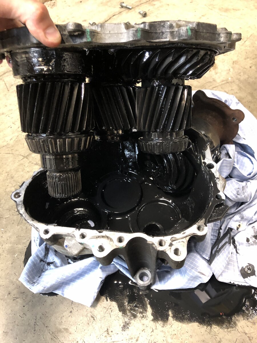 4e303be7-b39f-4e9f-b9a9-e39ae21c41ca-jpeg.jpg