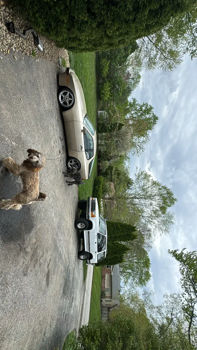 505850B4-3BDF-4F25-880B-527774485501.jpeg
