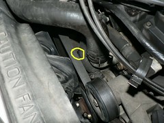 5125257610_71fcdaac1f_m.jpg