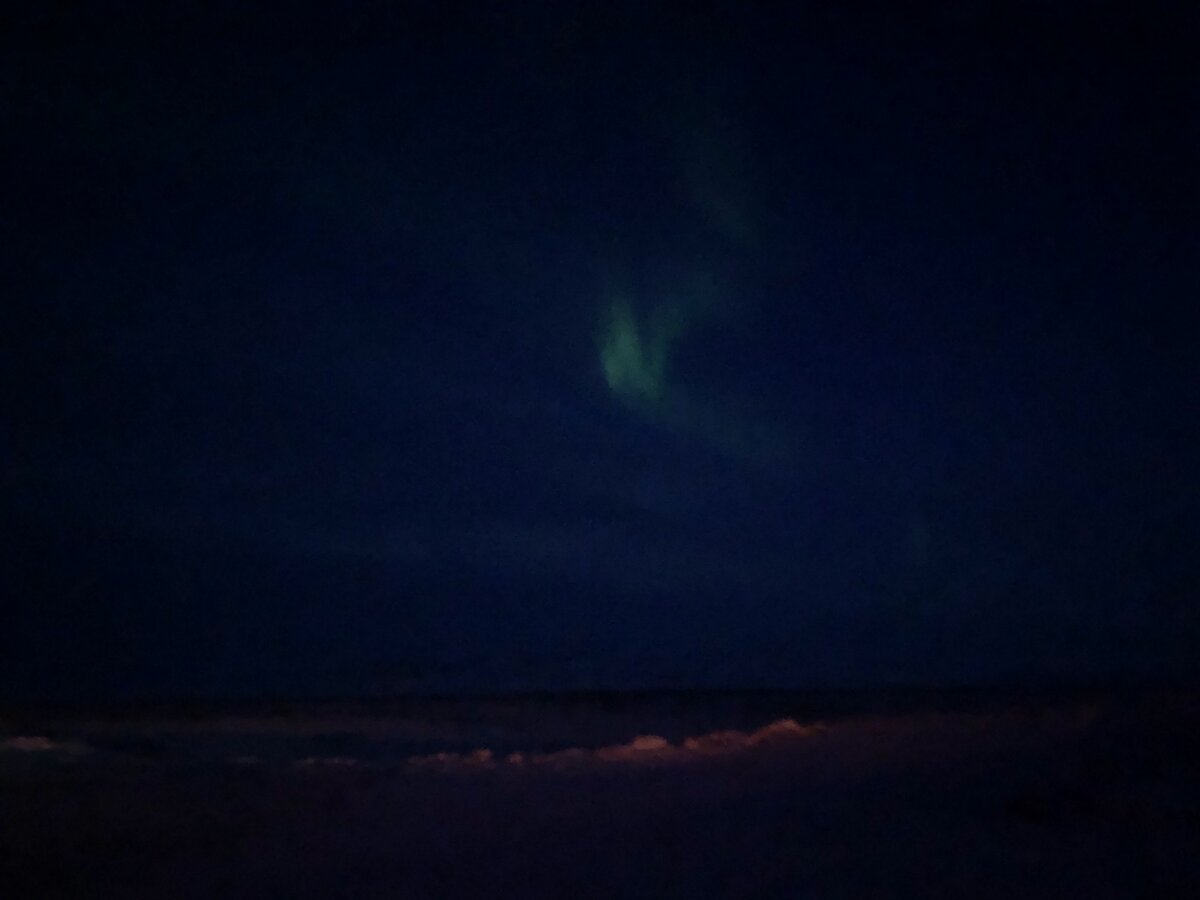 5171CB9D-0545-404B-9F45-6AA871AE2461.jpeg