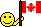 6909SMILIE_Canadian_flag.gif