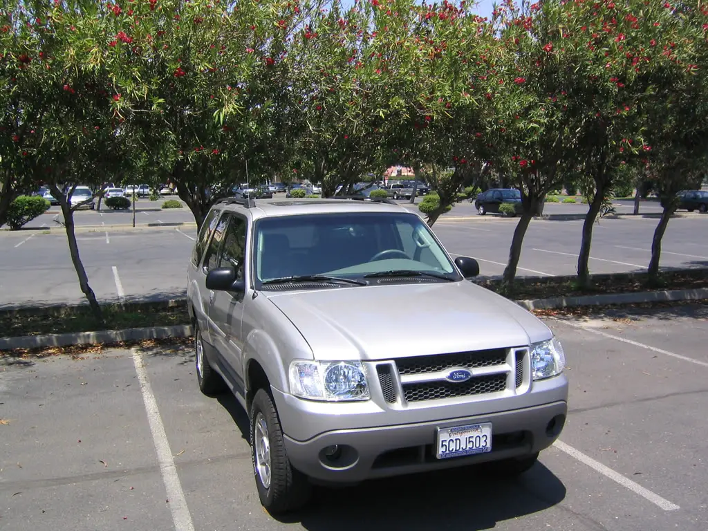 6e56874b.jpg