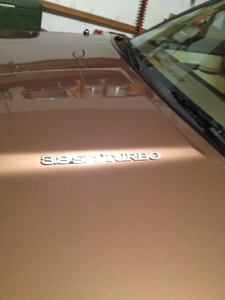 6f288424.jpg