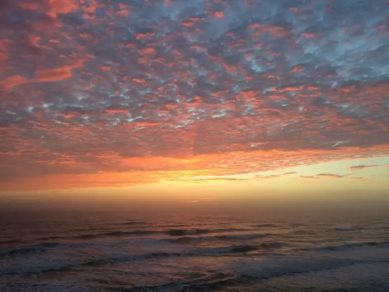 715E96CA-F4EC-4F85-92F3-FCF07C14D47A.jpeg