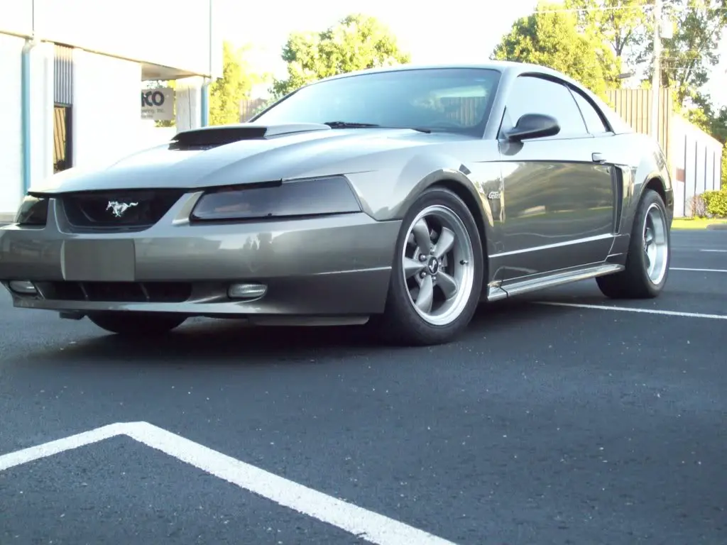 72008015.jpg
