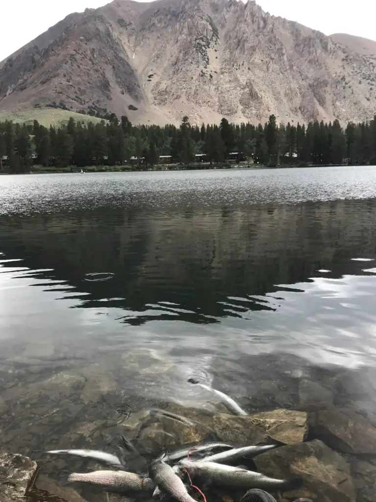 77ED34FD-6201-4582-AD28-76FF4A8BC982_1_105_c.jpeg
