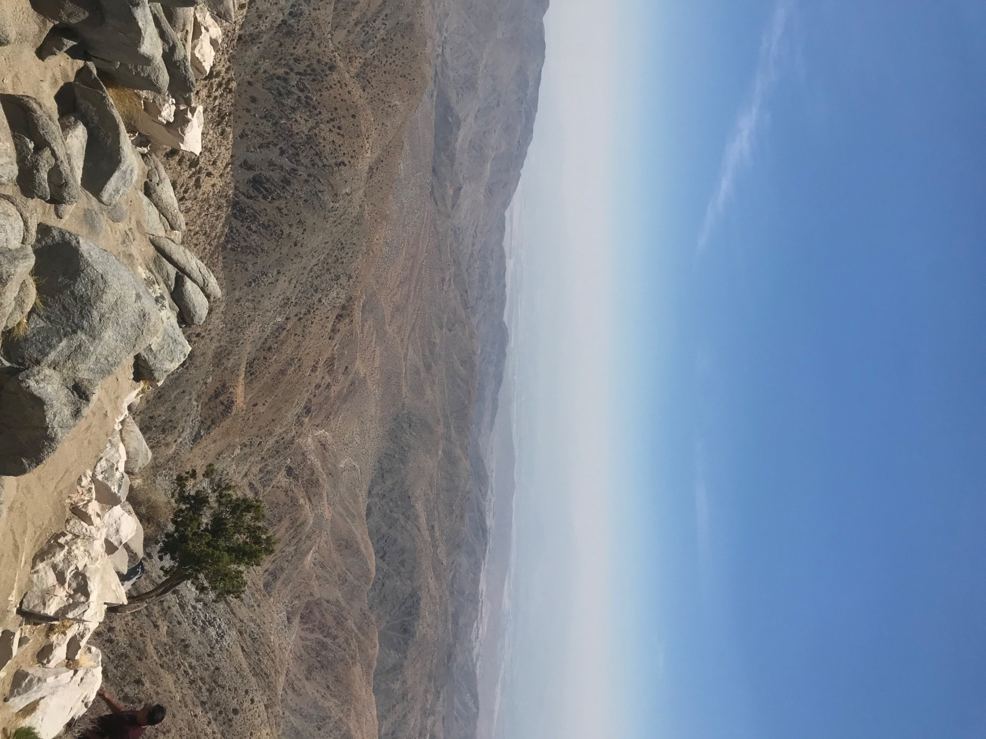 84189571-82CA-4E48-95DA-F39B28F74C69.jpeg