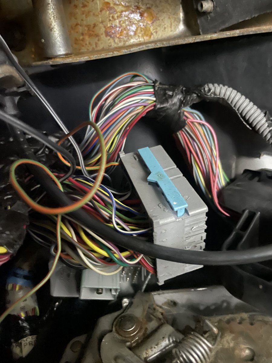 8A87B411-C322-4151-B6B0-1307EFEDF9A7.jpeg