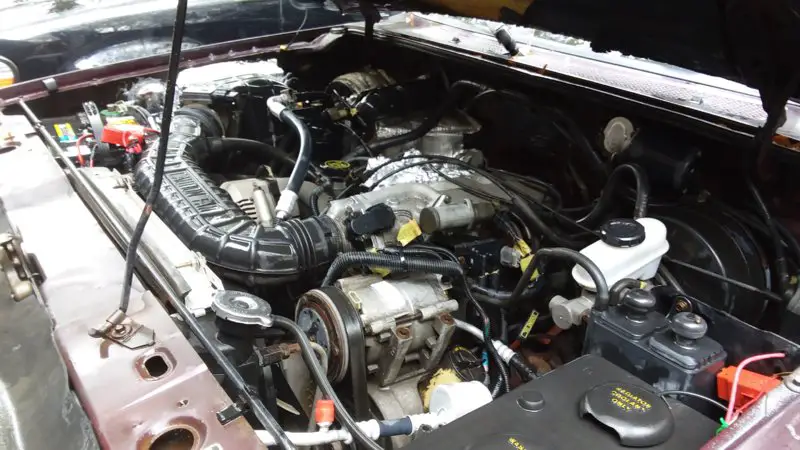 94 rinsed off.jpg