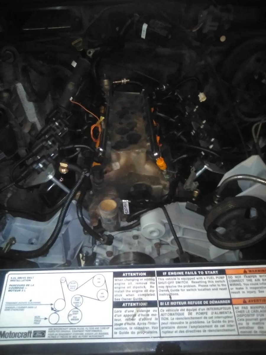 97mm powertrain harness going on.jpeg