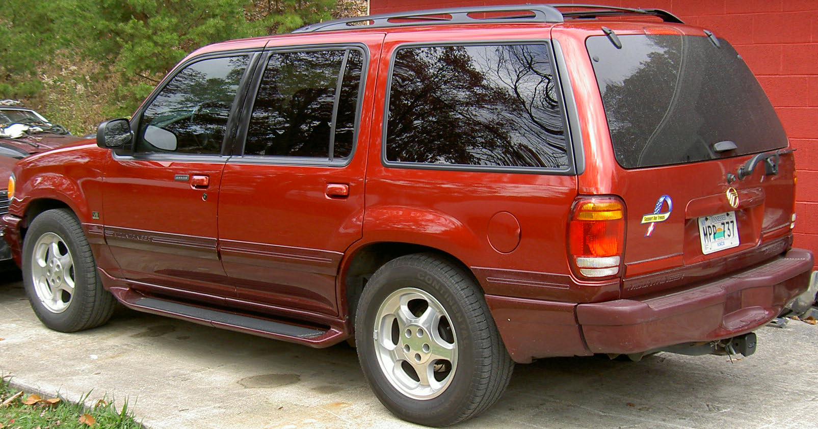 98MntnCobrawheels.JPG