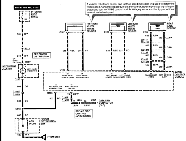 abs 3.gif