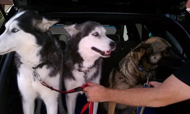 Allthree.jpg