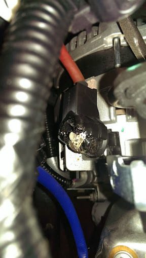 alt+cable+EX.jpg
