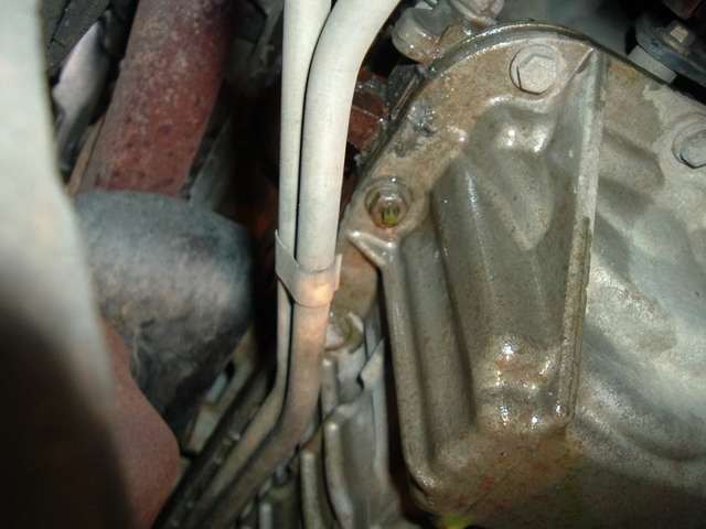 antifreeze_leak.jpg