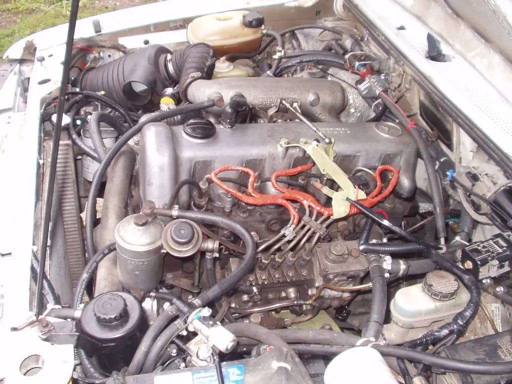 Aug42008002.jpg
