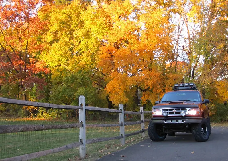 Autumn2.jpg