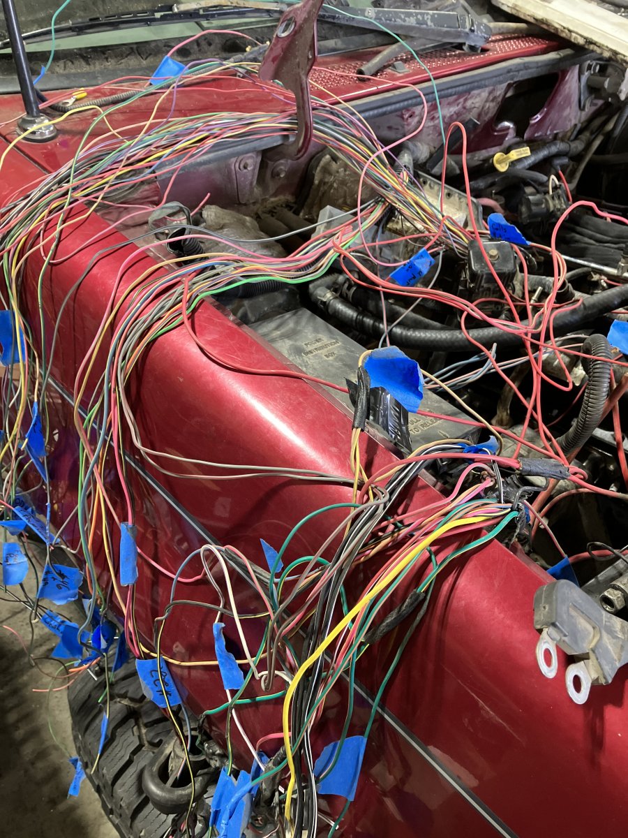 B197F70A-C0D9-419C-B386-DF0479708890.jpeg