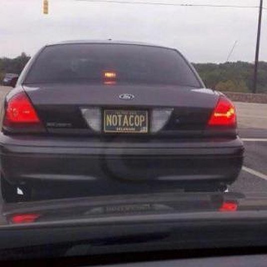 bae3d8f9e0e08213d14cf12ed9b8309d.jpg