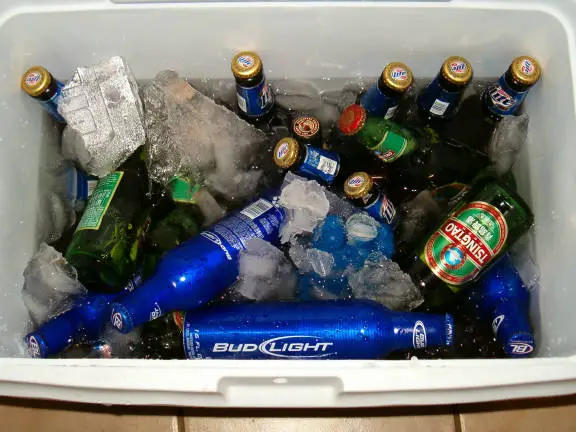 Beer.jpg
