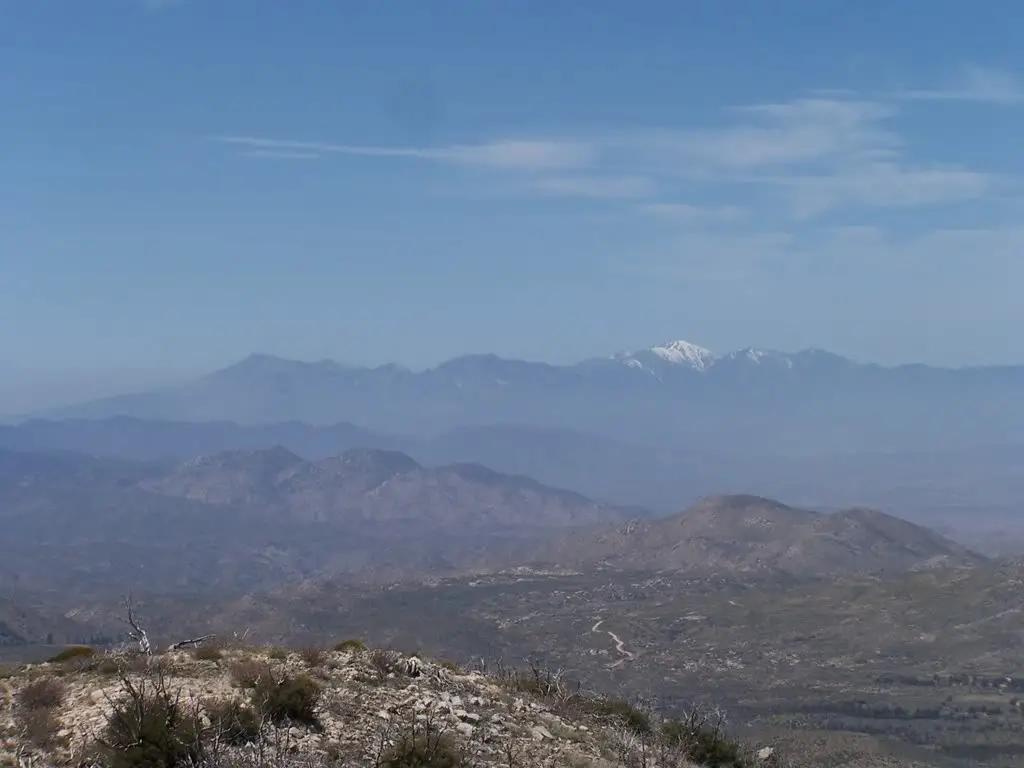 bigbear005.jpg