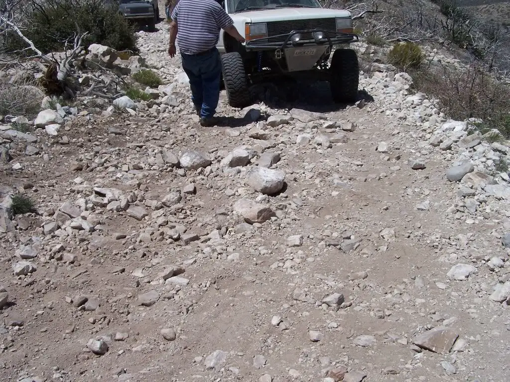 bigbear008.jpg