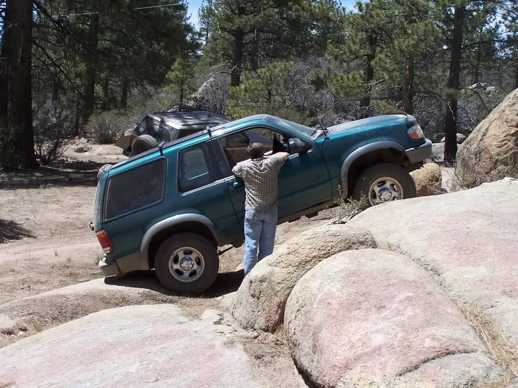 bigbear011.jpg