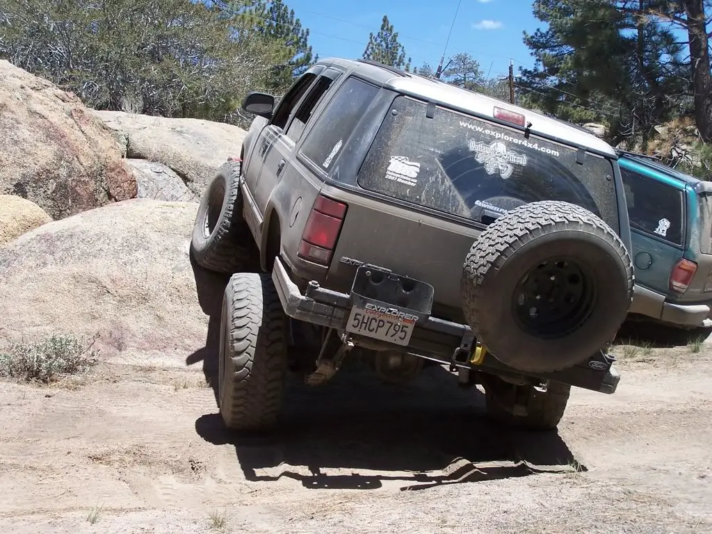 bigbear014.jpg