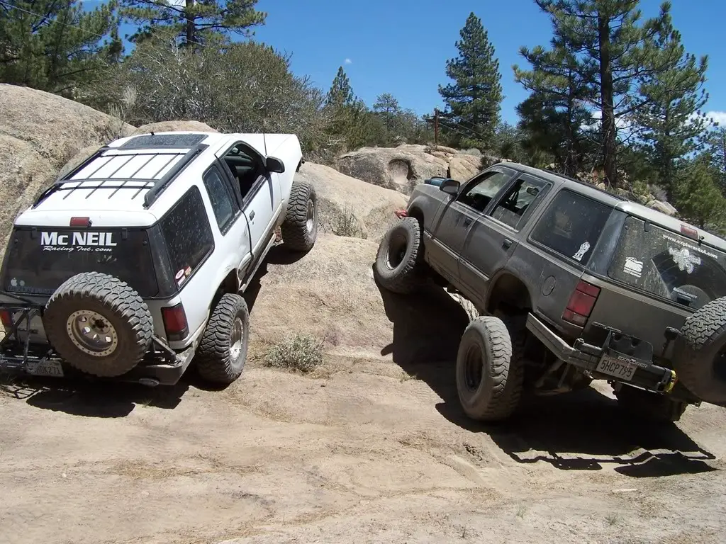 bigbear016.jpg