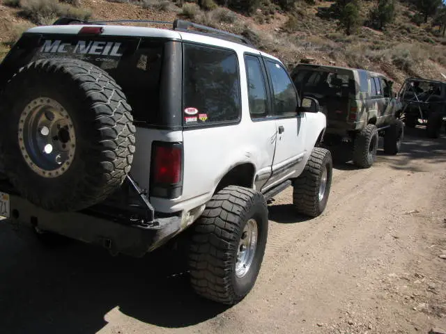 BigBEarapril09003.jpg