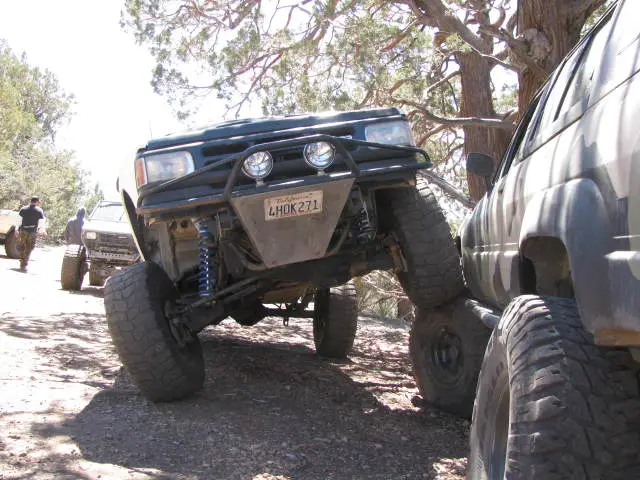 BigBEarapril09027.jpg
