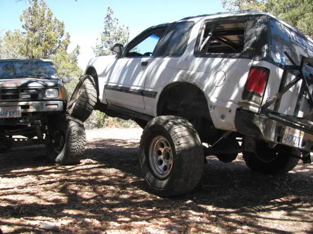 BigBEarapril09028.jpg