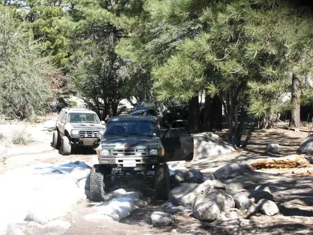 BigBEarapril09030.jpg