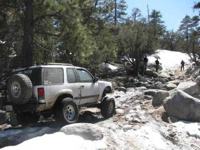 BigBEarapril09038.jpg