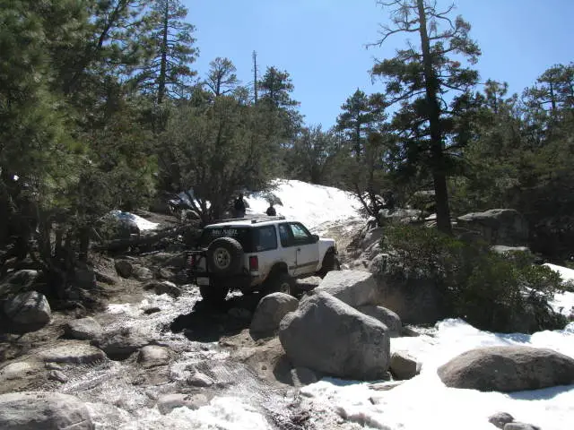 BigBEarapril09039.jpg
