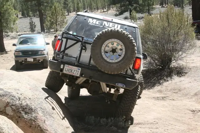 BigBearmay08037.jpg