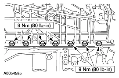 BlkCrdlInstl8.jpg