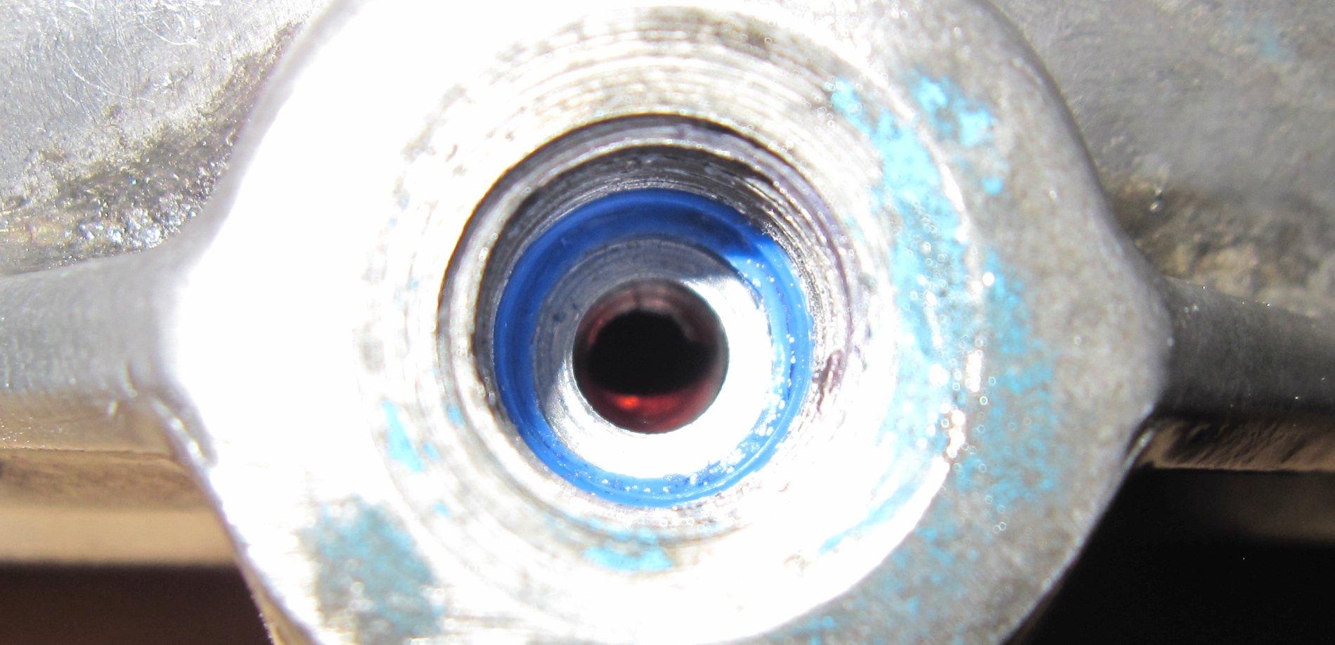 blue seal.jpg