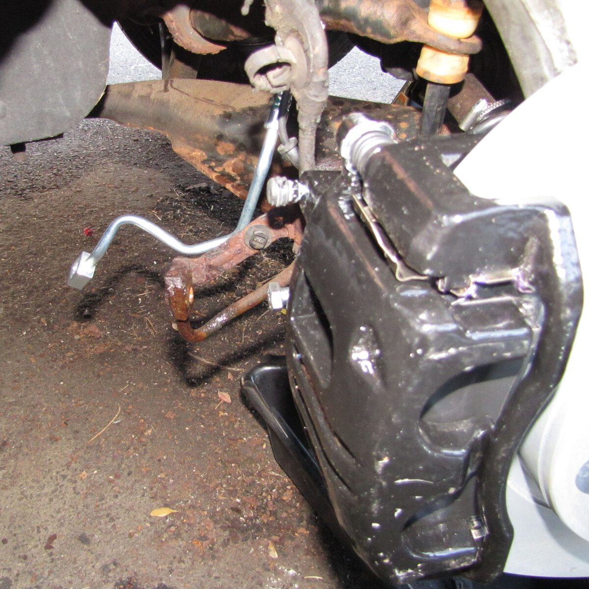 brake_hoses.jpg