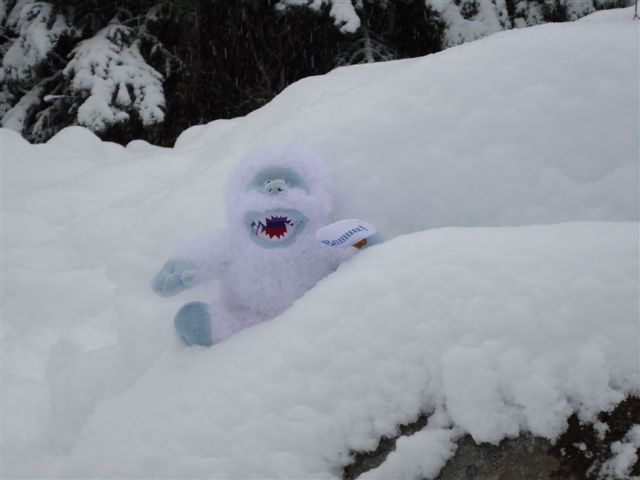 Brrrr!.1.JPG