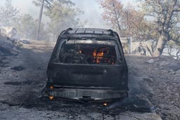 burnt-out-dsc_1314-1.jpg
