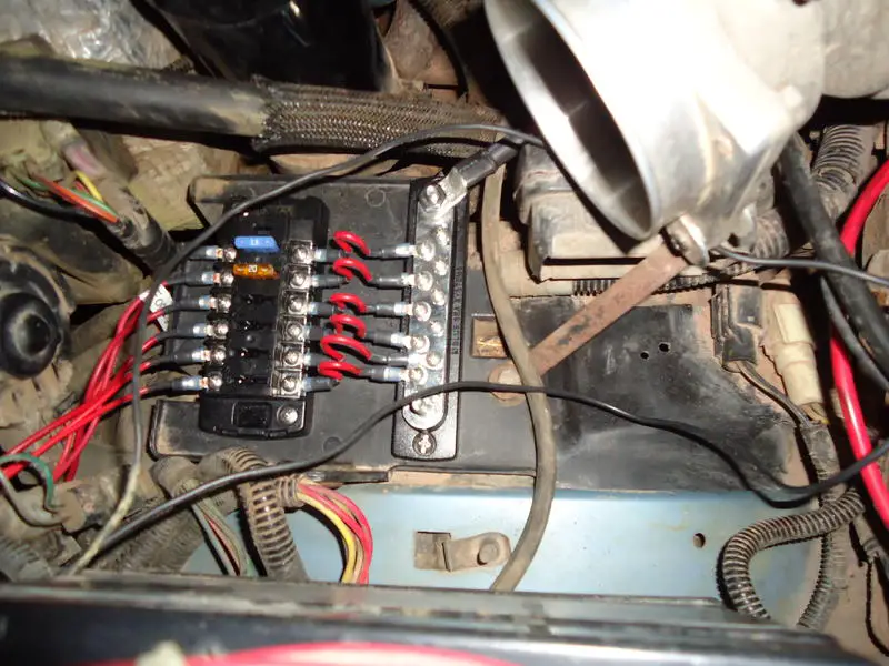 Bus - Fuse.jpg