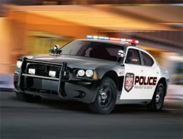 c31fe075.jpg