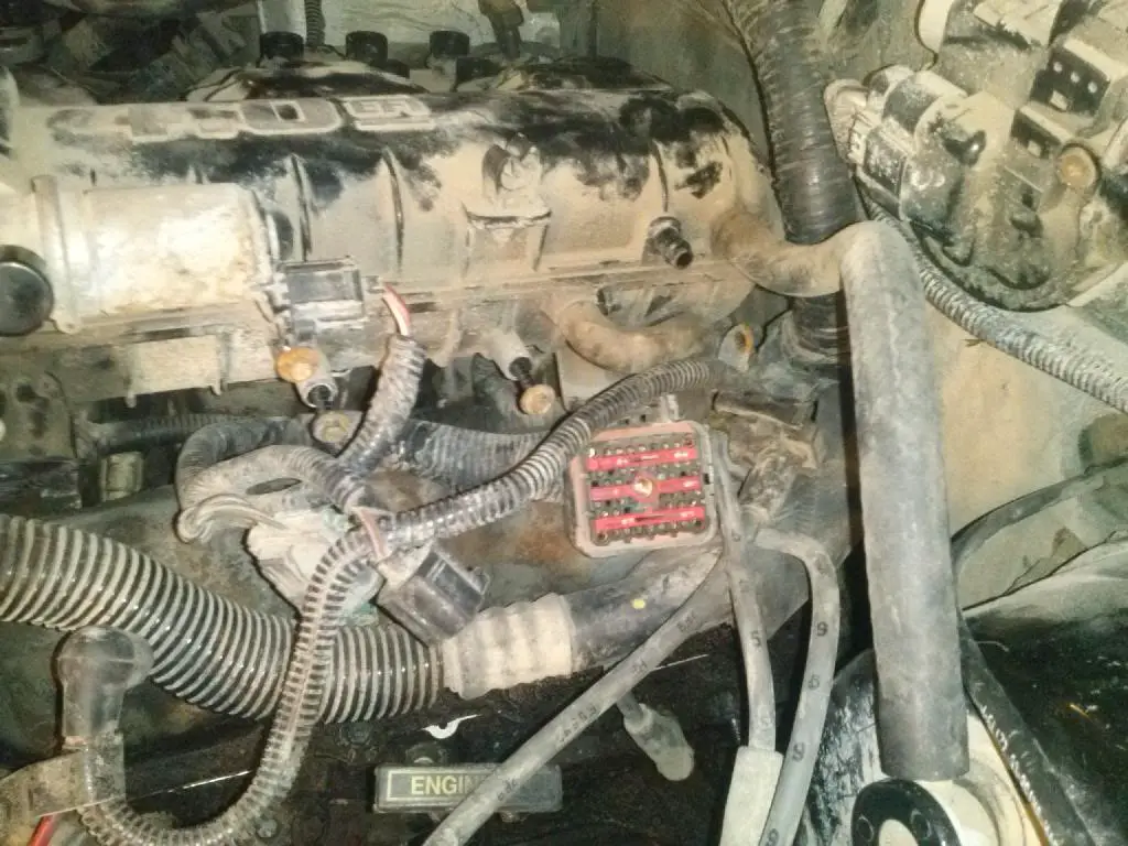 CAM01036_zps1f580mz2.jpg