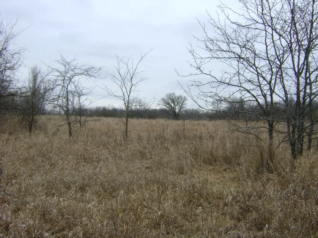 cameracard1-25-2009153.jpg