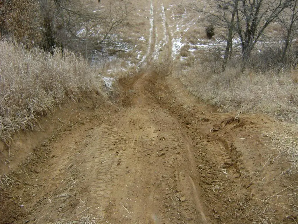 cameracard1-25-2009169.jpg