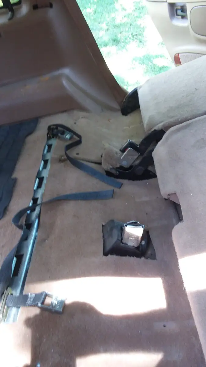 Carpet cut 1.jpg